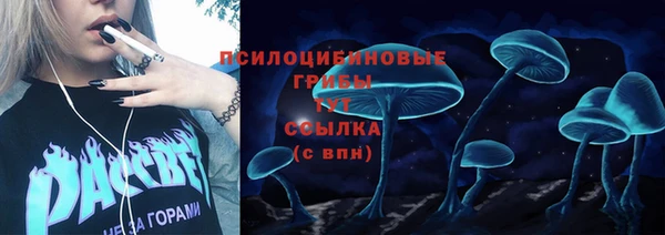 спиды Усмань