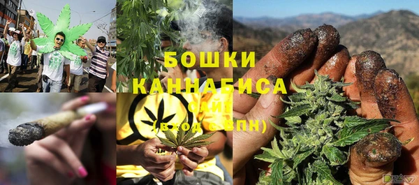 ГАЛЛЮЦИНОГЕННЫЕ ГРИБЫ Горнозаводск