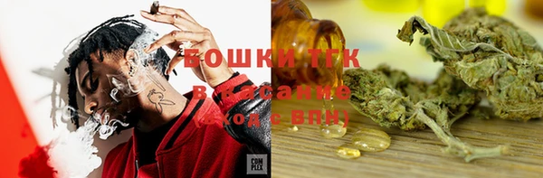 mdpv Горняк