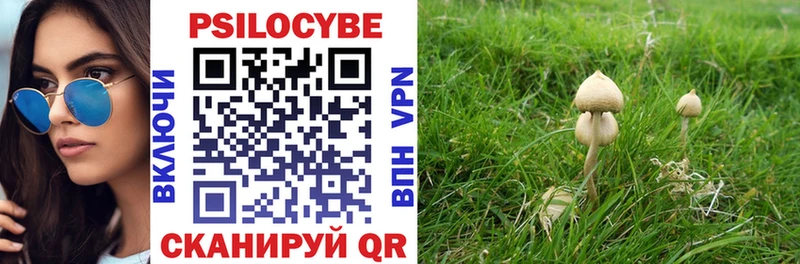 Псилоцибиновые грибы прущие грибы  купить  сайты  Полярные Зори 