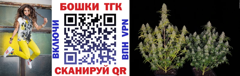 Бошки Шишки план Полярные Зори